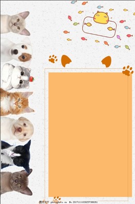 德扑圈俱乐部推荐